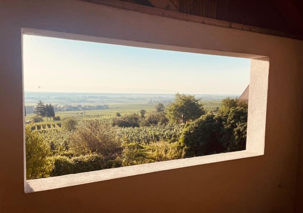 Gite Origin Gueberschwihr Bagian luar foto