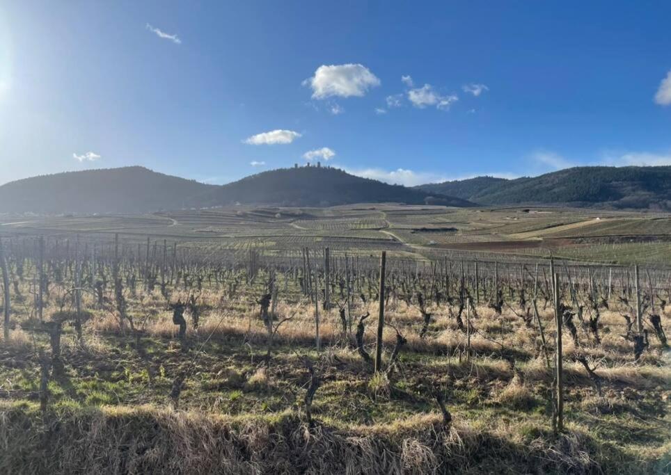 Gite Origin Gueberschwihr Bagian luar foto