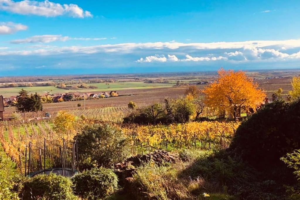 Gite Origin Gueberschwihr Bagian luar foto
