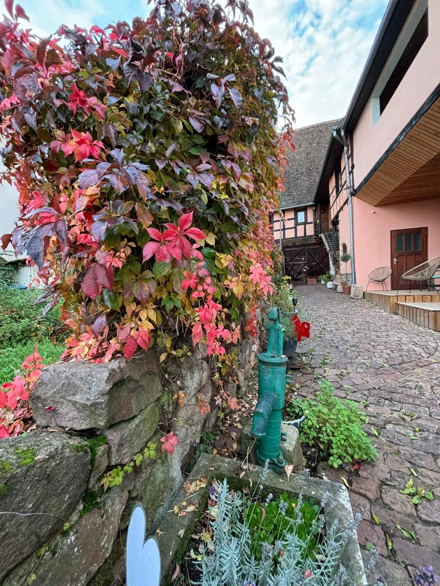 Gite Origin Gueberschwihr Bagian luar foto
